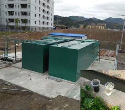 1768200935622298.jpg 2.jpg